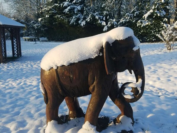 Sci e sport sulla neve