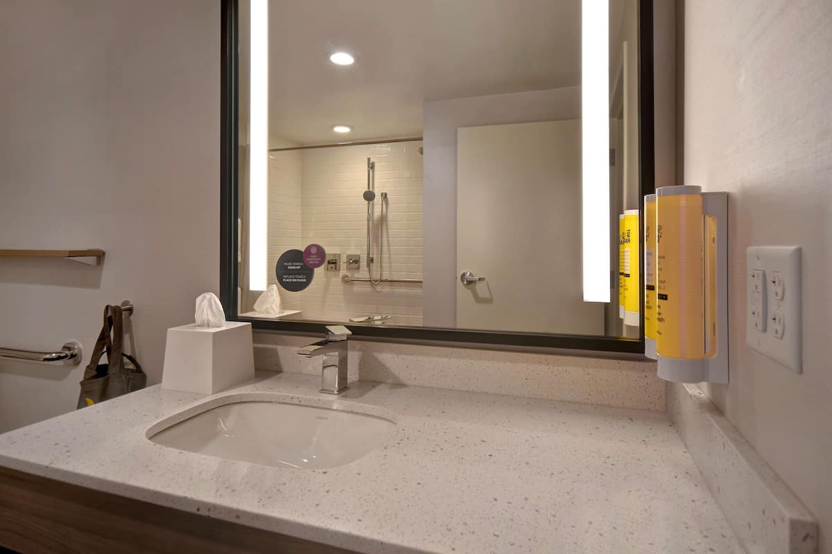 hair dryer, towels, soap, shampoo