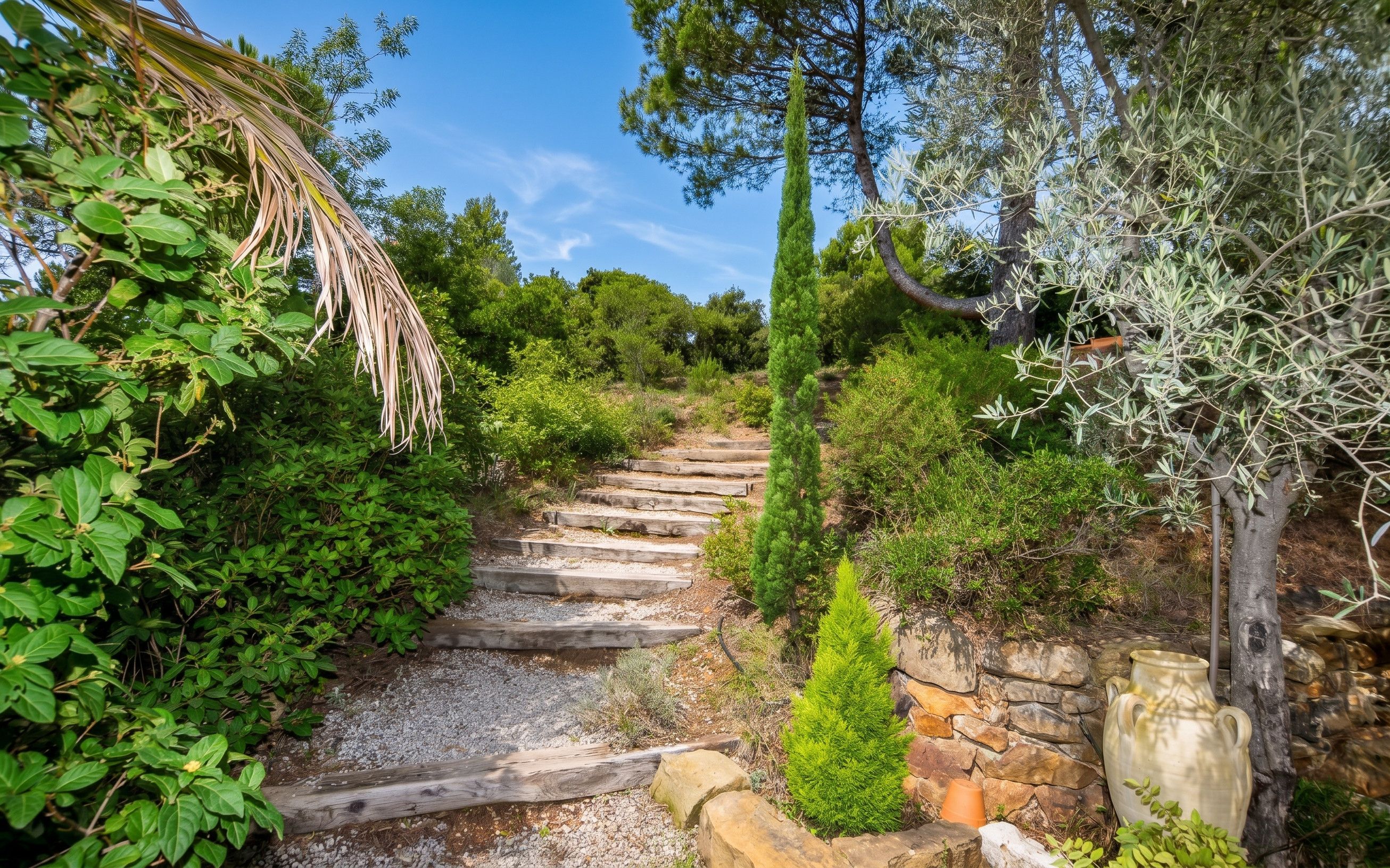 Ein gepflasterter Weg schlängelt sich durch einen Garten mit verschiedenen Pflanzen und Bäumen.