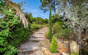 Un chemin de pierres qui traverse un jardin où l’on trouve différentes plantes et arbres.