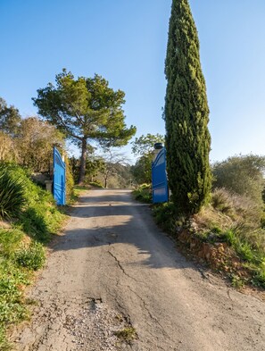 A gravel road leading to a gated entrance with a tall coniferous tree on the right. - Homerez - Villa in Montséret (Montséret)