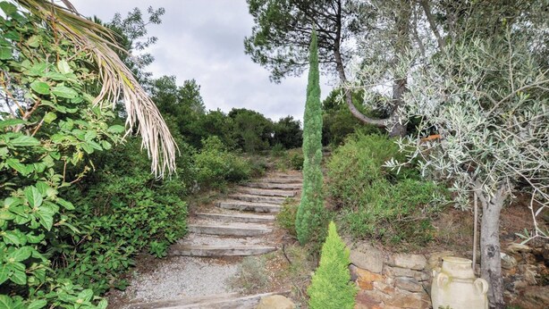 Un sendero de piedra que atraviesa un jardín con diversas plantas y un jarrón grande.