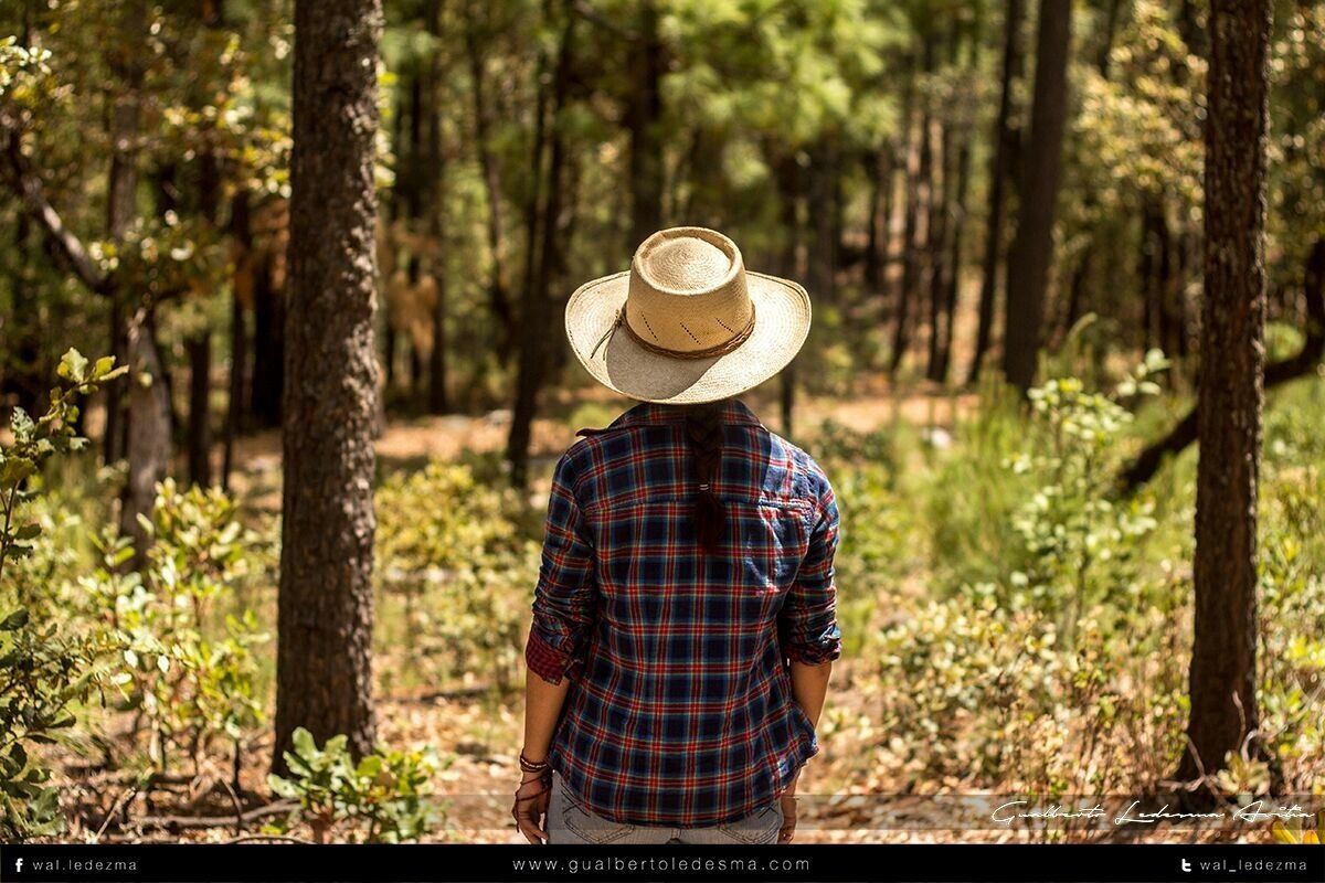 Una persona caminando por un bosque.