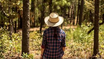Una persona caminando por un bosque.