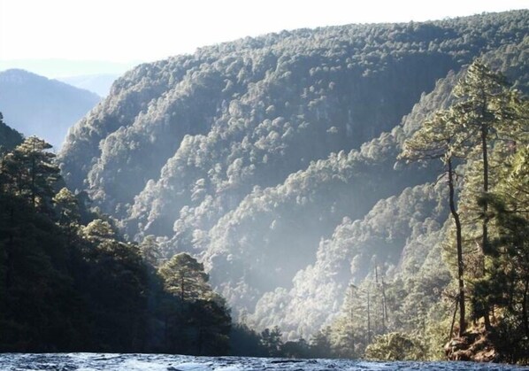 A mountainous landscape with dense forests and a river. - Hostal Mexiquillo (Pueblo Nuevo)