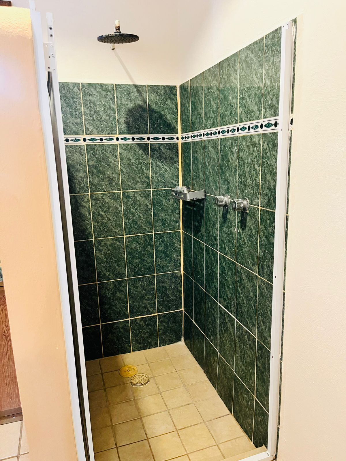 Un petit espace douche fermé, avec des carreaux verts et un chambranle de porte blanc.
