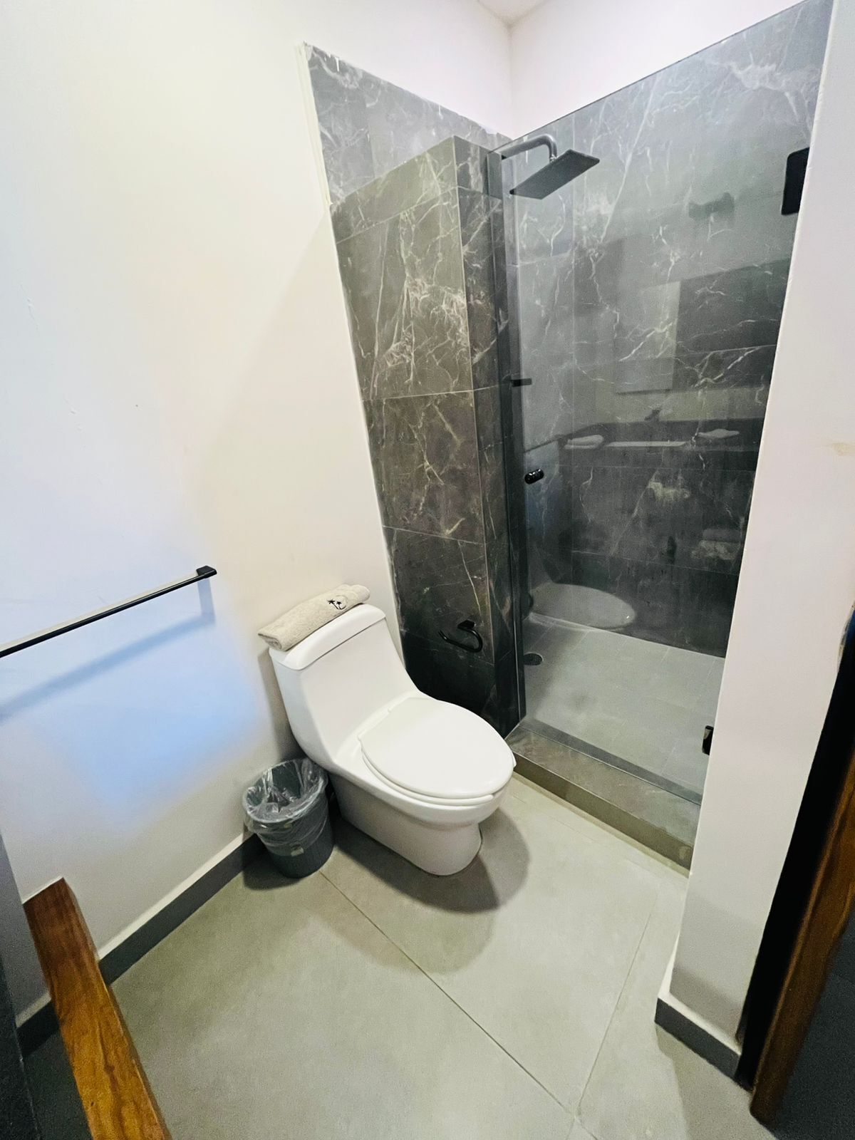 A bathroom with a toilet, a shower enclosure, and a trash bin.