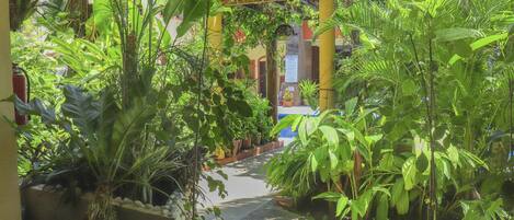 Un sendero bordeado por abundante vegetación y un edificio amarillo con tejado de baldosas.