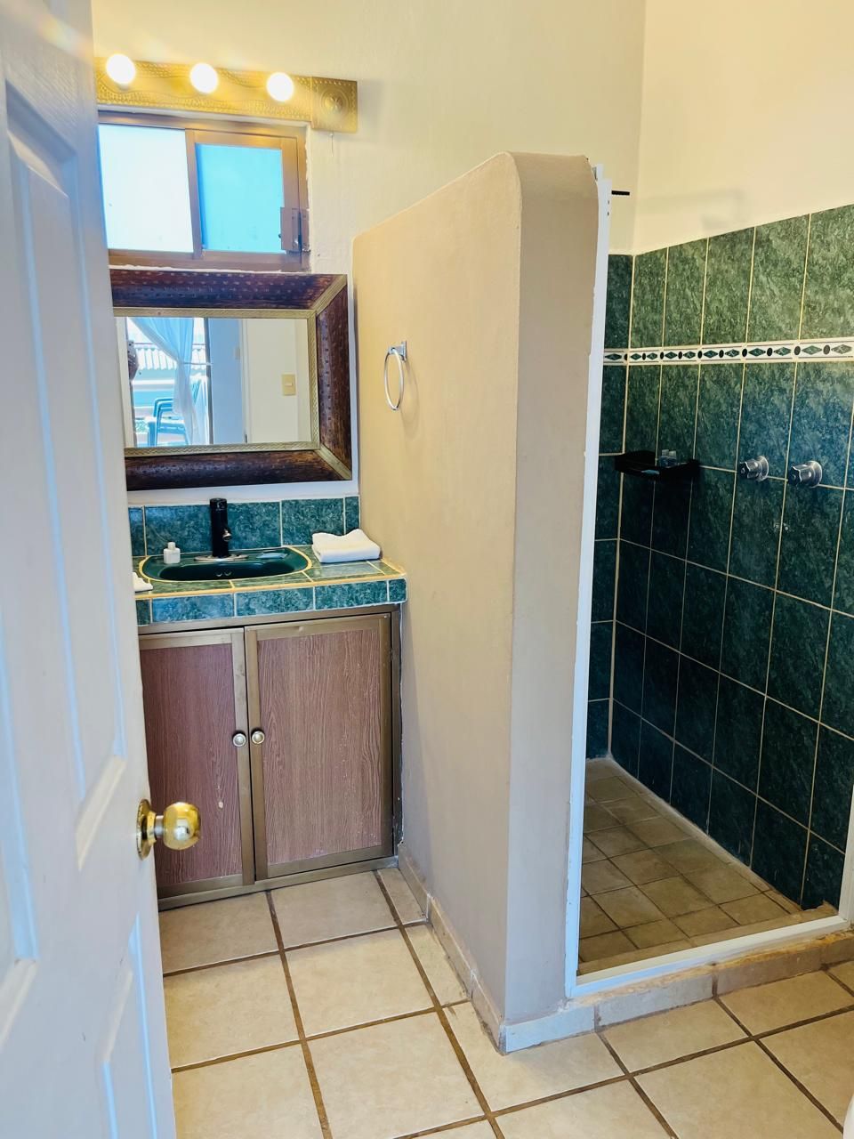 A bathroom with a shower, a sink, a mirror, and a door.