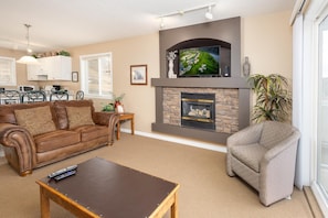 TV, fireplace