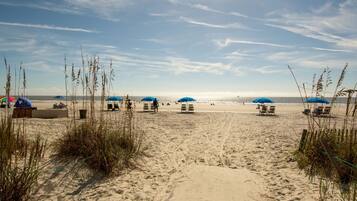 On the beach, sun loungers