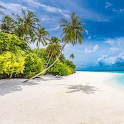 On the beach, white sand, sun loungers, beach umbrellas