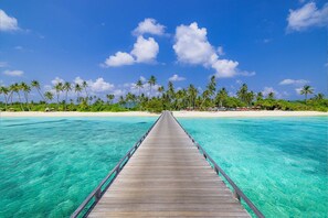 A wooden pier extending into clear turquoise waters, surrounded by palm trees and a sandy beach.