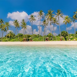 On the beach, white sand, sun loungers, beach umbrellas