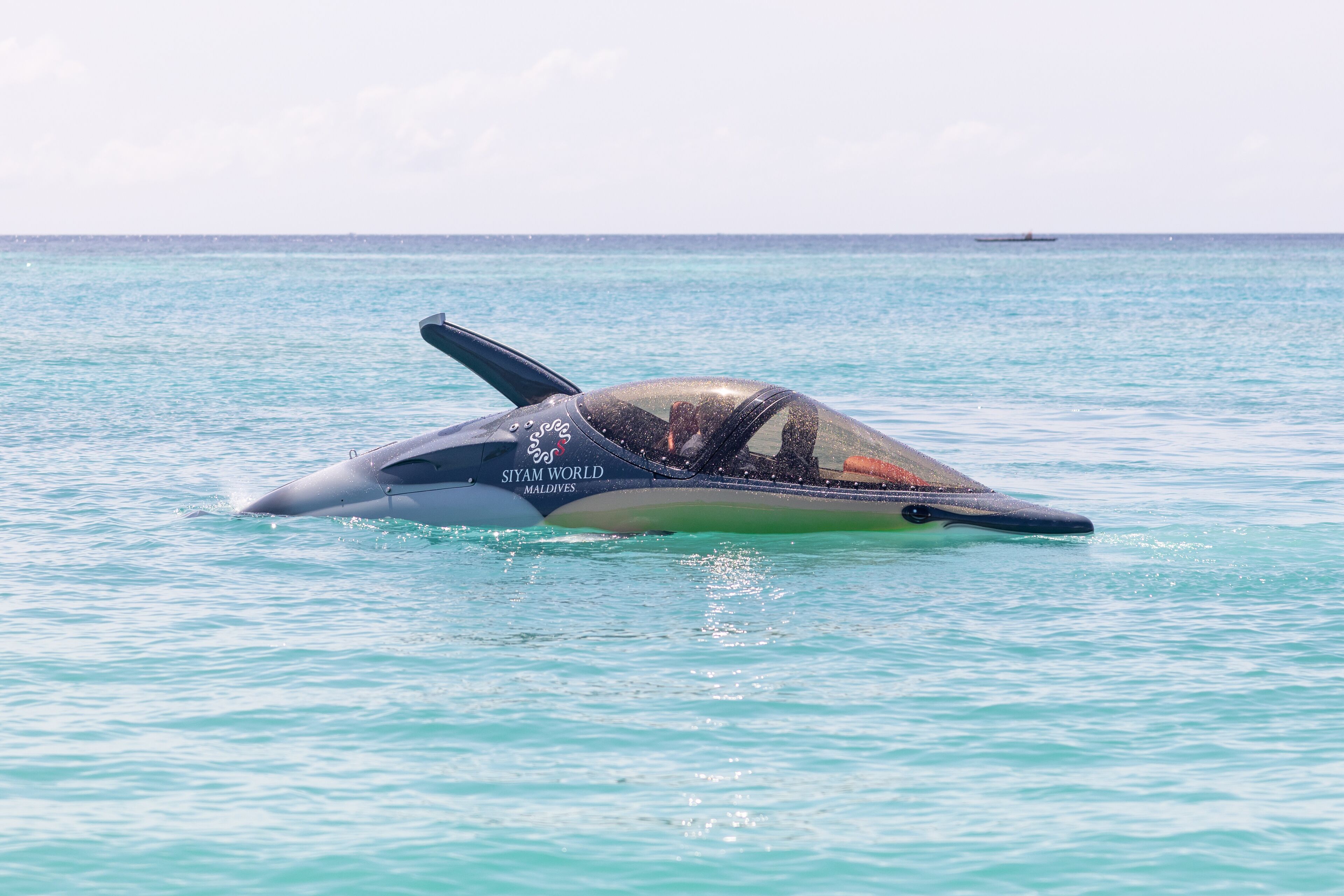 Un delfín nadando en agua turquesa cristalina.