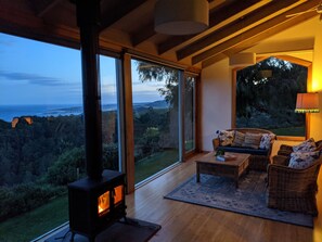Smart TV, fireplace, DVD player, video library