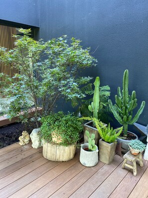 Property grounds - Magnificent architect-designed house in the pines overlooking Pic sur Loup (Montferrier-sur-Lez)