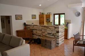 TV - House with pool secluded in lush greenery ideal for couples/families with pets (Hrboki - Barban)