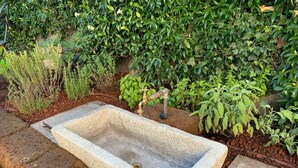 A rectangular stone basin with a faucet, surrounded by a variety of plants and a stone wall. - Villa La Bolvedrina: private garden with BBQ, 100 meters from the Lake. (Tremezzina)