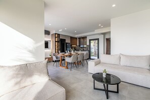 Smart TV, fireplace, books