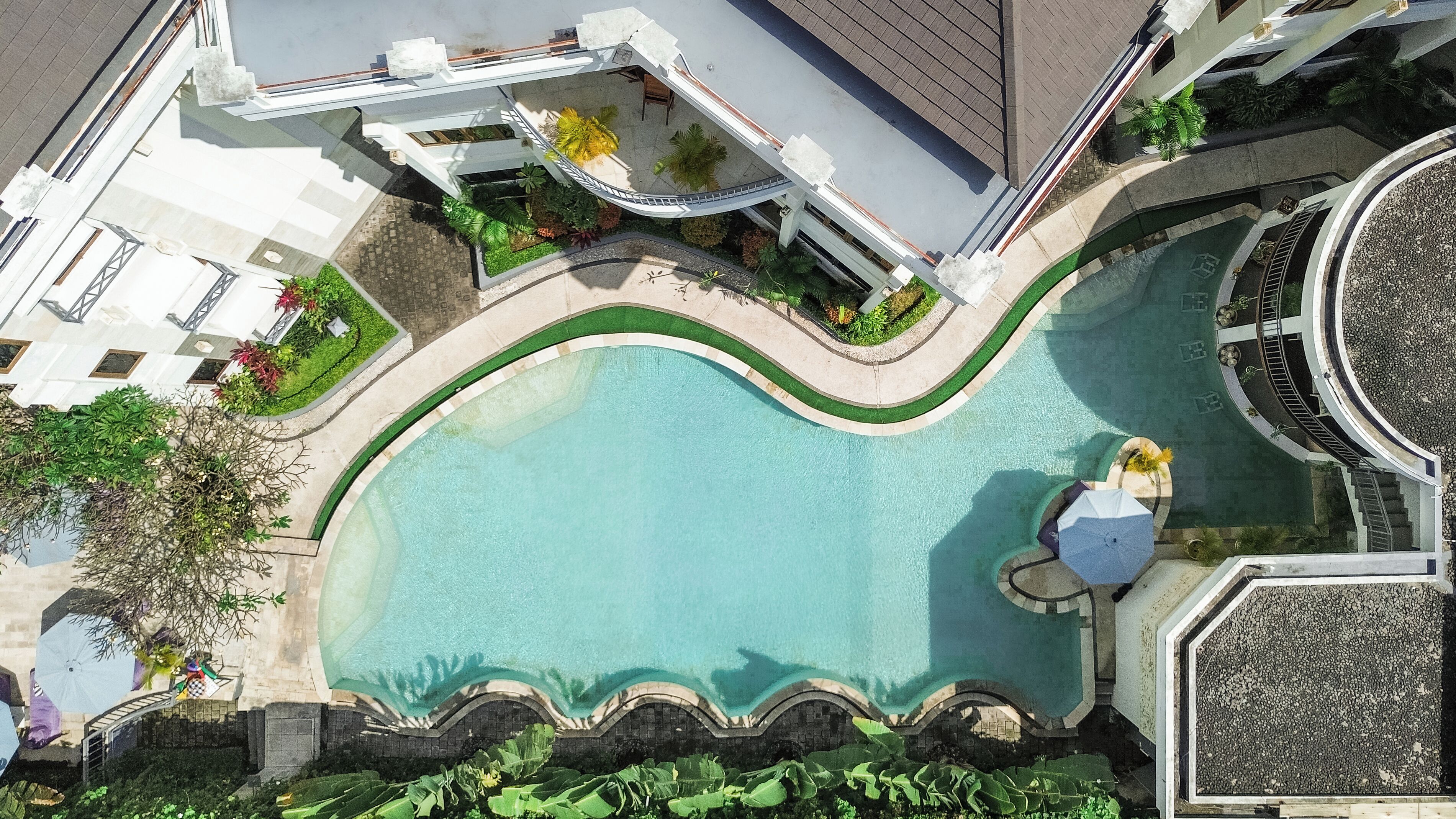 Eine Vogelperspektive auf einen Pool mit gewölbter Kante, umgeben von einem angelegten Garten und einem Gebäude mit weißer Fassade.