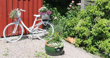 Sonnenaufgang - Holthus