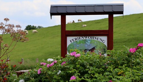 Sonnenaufgang - Holthus