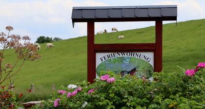 Abendsonne - Holthus