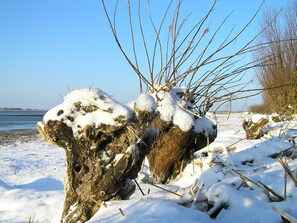 Botón de imagen sin clasificar, 2 de 50