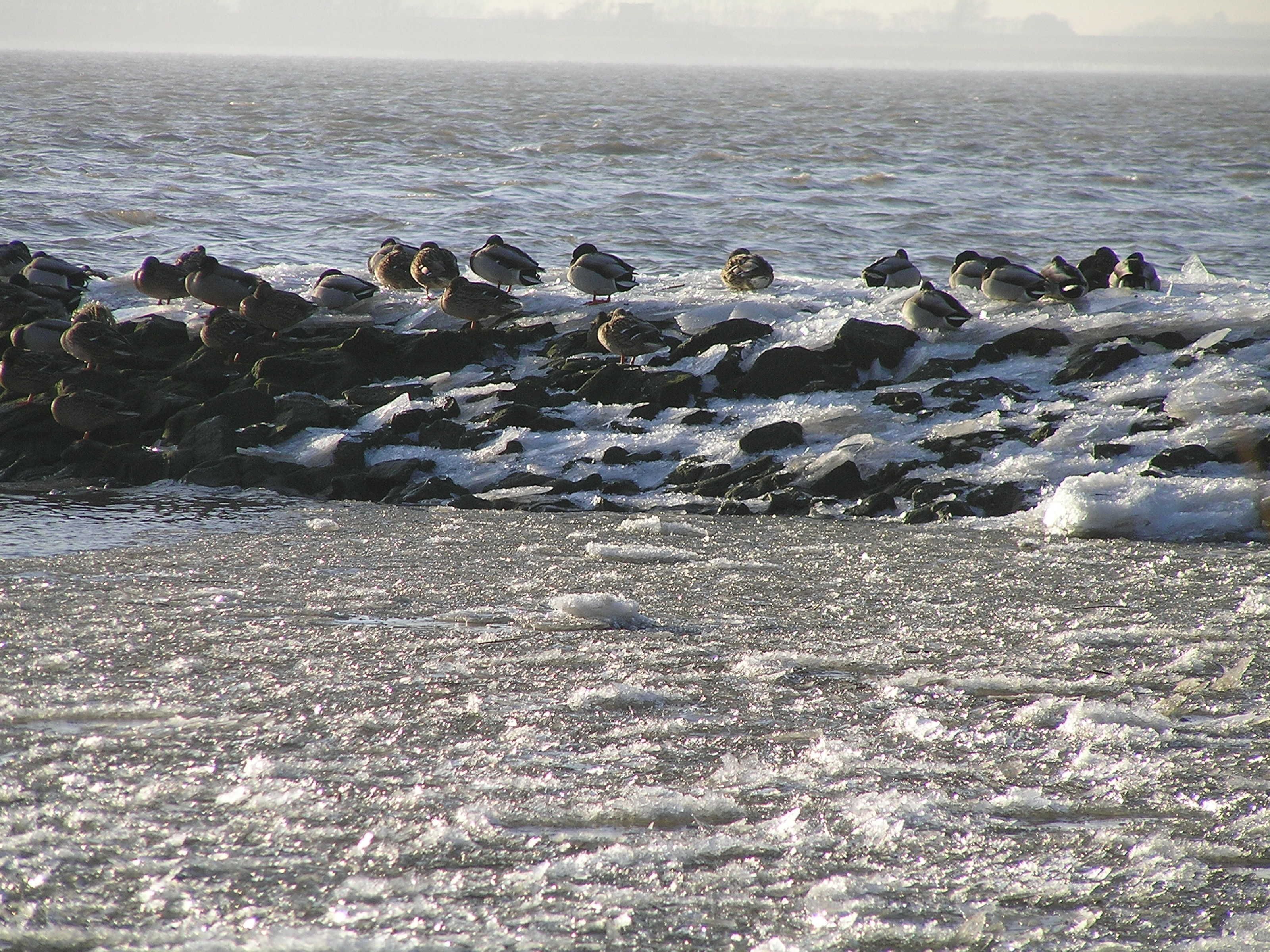 A rocky shoreline with waves crashing onto the beach.
