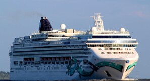 Unclassified image, 3 of 50, button