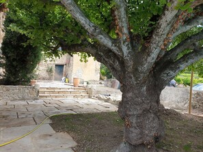 Property grounds - Large, tastefully restored farmhouse (Rousset les vignes)
