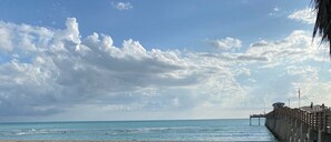 Beach nearby, sun loungers, beach towels - Comfy, clean, private home IN Venice, Florida; Heated Pool, Minutes to the Beach (Venice)