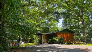 A rustic cabin with a gravel driveway, surrounded by dense trees. - Cardinal's Landing-Covered Porch - Pet-Friendly - Private-4WD-AWD (Bryson City)
