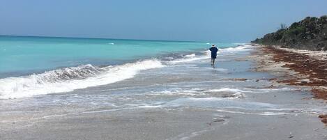 Plage à proximité, chaises longues, serviettes de plage
