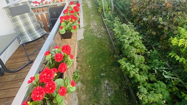 Una terraza con vistas a un jardín y casas vecinas.