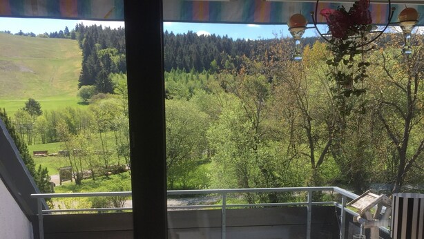 Ein Balkon mit Blick auf eine grüne Landschaft, ein Heizkörper und ein kleiner Tisch mit Salzstreuern.