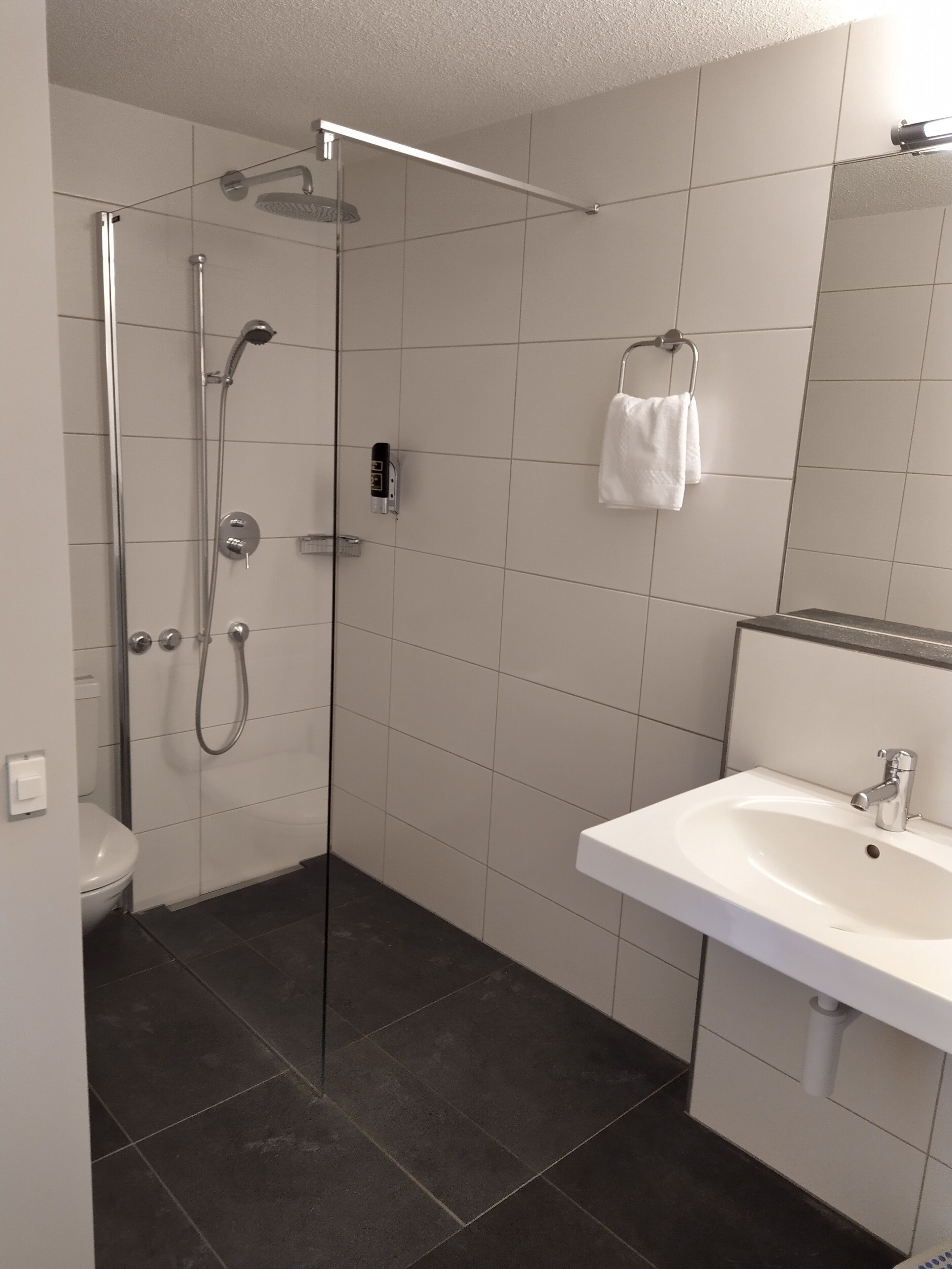 A modern bathroom with a glass-enclosed shower, a white sink, and a towel rack.