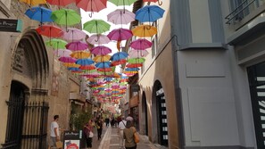 Unclassified image, 3 of 8, button