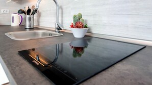 Une cuisine moderne dotée d’une élégante plaque de cuisson à induction noire, d’un évier en acier inoxydable et d’un cactus en pot.