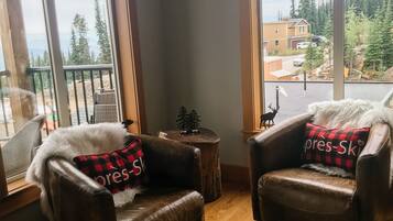 Télévision, cheminée, livres, chaßne hi-fi