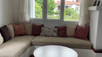 Smart TV, fireplace, books