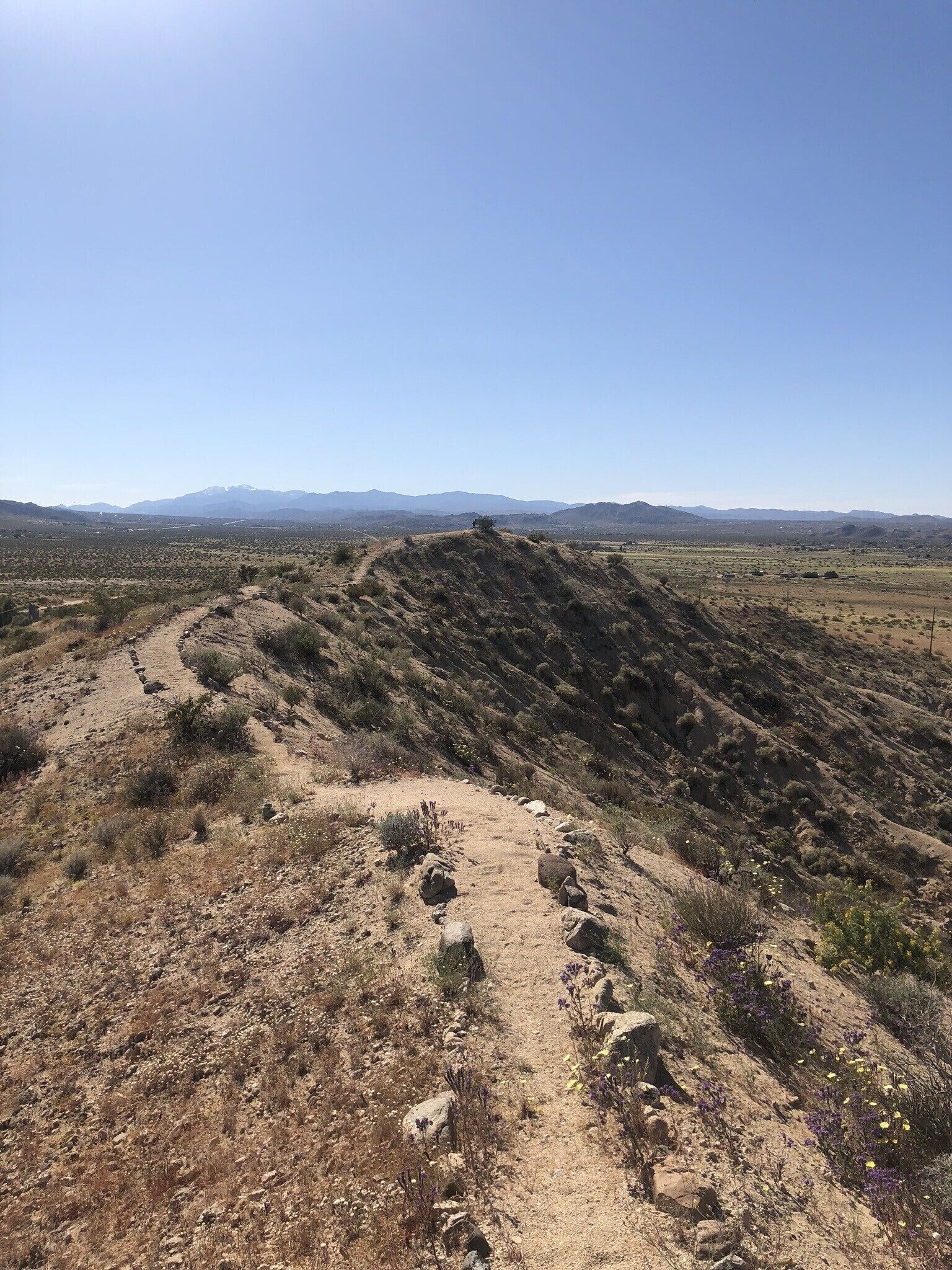 A rugged, rocky trail in a desert landscape with sparse vegetation and distant mountains.