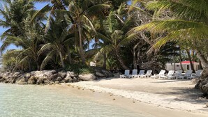 A beach with palm trees, a rocky shoreline, and white lounge chairs. - Be On The Beach (Sainte-Anne)