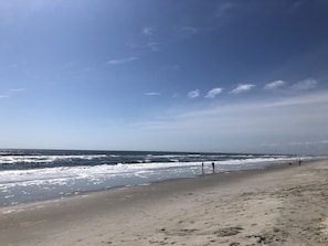 Playa en los alrededores