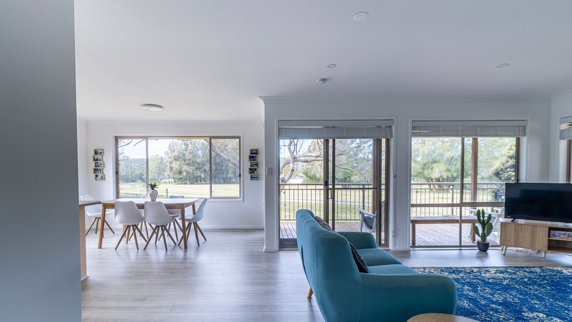 Netflix, DVD player, streaming services