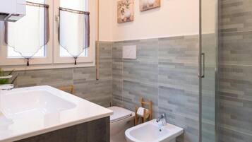 Shower, hair dryer, bidet, towels