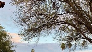 A park with a paved walkway, a bench, and a sign. - Rancho Viejo Getaway Condo (Rancho Viejo)