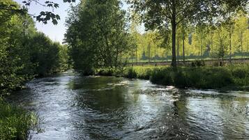 Ein Fluss, der durch eine bewaldete Landschaft fließt, gesäumt von Bäumen und Grün.