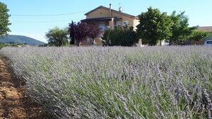 Property grounds - Gite Le Christol between Gard and Ardèche (Saint Victor de Malcap)